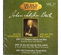 Rilling - Kantaten Bwv 68+173+184 [Import]