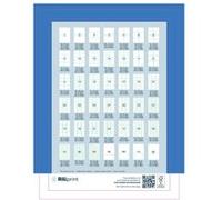 rillprint Étiquettes autocollantes 210x297 mm 1000 feuilles Blanc Blanc G