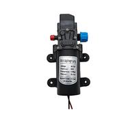 Riloer 12V 60W 5L/min Pompe à eau électrique auto-amorçante avec interrupteur d'arrêt automatique pour camping caravane bateau poisson RV jardin alimentation domestique