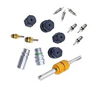 Riloer Kit de noyau de valve de climatisation, kit de bouchons de joint de port de charge pour voiture et système CVC, bouchon et valve AC R12 R134a Vannes de service de climatisation climatisation