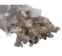 RiloStore 1 lot de plumes de pintade pour décoration de Pâques - Plumes de pintade - Plumes décoratives de Pâques - Plumes de poulet o787