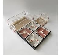 Rimsunta Ant Farm Habitat Terrarium d'observation en acrylique transparent avec chambre d'activités pour les débutants