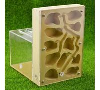 Rimsunta Ant Farm pour fourmis vivantes - Grande zone d'observation - Jouet d'apprentissage naturel - Cadeau idéal - Blanc