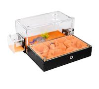 Rimsunta Formicarium pour fourmis vivantes et reines - Habitat transparent extra large pour adultes