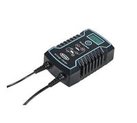 RING - Chargeur intelligent 12/24V 8A RING - Réf. RESC808FR