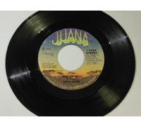 Ring My Bell / If I Could Feel That Old Feeling Again [Vinyl Single 7'']