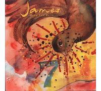 Ring The Bells/Fight [Import]