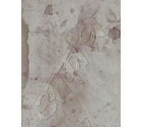 Ringo-Sheena Ringo & The Others Dwell: The Air Pocket Zone [Edizione: Giappone] [Blu-Ray] [Import]