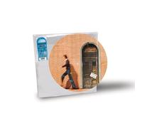 Rino Gaetano - Ingresso Libero (50° Anniversario) - Picture Vinyl [Vinilo]