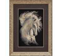 RIOLIS 1451 Personnage Andalou Kit de Point de Croix Compté 30 x 45 cm | Cheval motif, 14 pts noir Zweigart Aida, 23 coton Anchor couleurs, niveau intermédiaire, grille et aiguille incluses