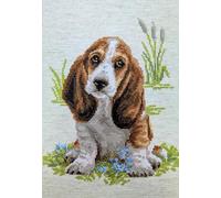 RIOLIS 1578 Basset Hound Puppy Cross Stitch Kit, Coton, Multi Color, 26 x 38 x 0, 1 cm
