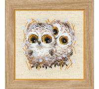 Riolis 1755 Kit de broderie au point de croix en coton Motif chouettes Multicolore 1313 cm