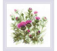 RIOLIS 1852 Chardon Kit de Point de Croix Compté 30 x 30 cm | Floral motif, 10 pts blanc Zweigart Aida, 15 laine/acrylique couleurs, niveau intermédiaire, grille et aiguille incluses