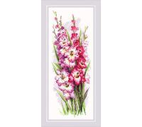 RIOLIS 1994 Glaïeuls Charmants Kit de Point de Croix Compté 19.7 x 50.2 cm | Floral motif, 14 pts blanc Zweigart Aida, 17 coton Anchor couleurs, niveau intermédiaire, grille et aiguille incluses