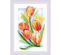 RIOLIS 2191 Éclat printanier. Tulipes Kit Point de Croix Compté 21 x 30 cm | 14 pts blanc Zweigart Aida, 18 coton Anchor couleurs, niveau intermédiaire, grille et aiguille incluses