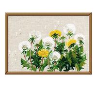 RIOLIS 807 Pissenlits Kit de Point de Croix Compté 29.8 x 21 cm | Floral motif, 15 pts lin Zweigart Aida, 11 laine/acrylique couleurs, niveau intermédiaire, grille et aiguille incluses