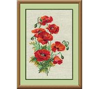 RIOLIS 808 Coquelicots Sauvages Kit de Point de Croix Compté 21 x 30 cm | 15 pts lin Zweigart Aida, 11 laine/acrylique couleurs, débutant à intermédiaire, grille et aiguille incluses