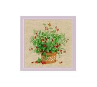 RIOLIS Counted Cross Stitch Kit 24 x 24 cm
