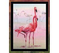 RIOLIS Kit de Point de Croix Motif Flamants Roses