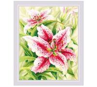 Riolis Kit de point de croix Motif lys 40 x 50 cm