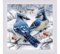 Riolis Kit de Point de Croix, Multicolore, 20 x 20 cm