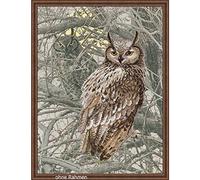 RIOLIS Kit Point de Croix Eagle Owl, 100% Coton, Multicolore