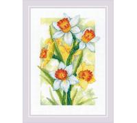 Riolis Paquet de broderie au point de croix "Lueur de printemps. Narcisses", modèle à compter, 21x30cm