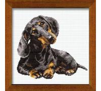 Riolis R906 Kit de Broderie au Point de Croix Teckel Multicolore
