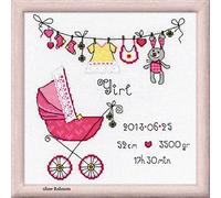 Riolis RI-1417 Kit de Broderie au Point de Croix Le Landau Rose Multicolore