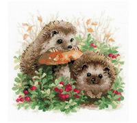 RIOLIS RI-1469 Hérissons Kit de Broderie au Point de Croix Multicolore 25 x 25 cm