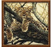 Riolis RI-937 Kit de Broderie au Point de Croix Léopard Multicolore