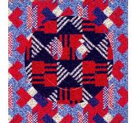 Riot in Belgium - The Acid Never Lies [Import]