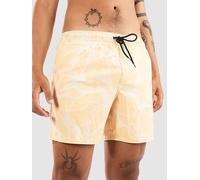 Rip Curl Aots - Cody Welsh Volley Boardshort marron S