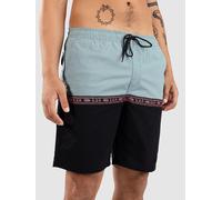 Rip Curl Raw Energy Split Volley Boardshort noir M