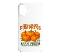 Ripe and Ready Pumpkins Retro Farmer Market Fall Pumpkin Fun Coque pour iPhone 16 Plus