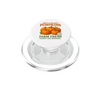 Ripe and Ready Pumpkins Retro Farmer Market Fall Pumpkin Fun PopSockets PopGrip pour MagSafe