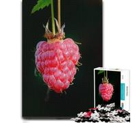 Ripe Raspberry on The Vine Puzzle en Papier 1000pcs (52x38cm) pour Adultes | Choisissez une activité puzzle d’hiver pendant les w nds de janvier, pour se détendre.