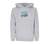 Ripndip - Cruiser Sweat à capuche Ash Heather SweaT-shirt Homme - Homme - Sweatshirts et sweats à capuche - Gris - Taille: L