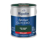 RIPOLIN Boiseries et Structures Métalliques Vert Basque Ral 6005 2 L