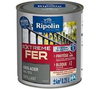 RIPOLIN Peinture Fer Extreme Fer Bi-Activ Gris Acier 0,25 L