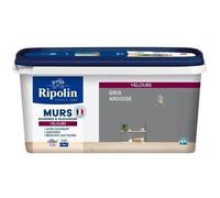 RIPOLIN Peinture Couleur Velours pour Murs, Boiseries Radiateurs - Gris ardoise