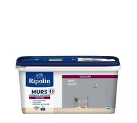 RIPOLIN Peinture Couleur Velours pour Murs. Boiseries Radiateurs - Gris galet