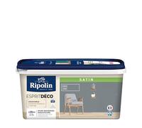 Peinture acrylique Ripolin ESPRIT DECO monocouche satin 2L5 gris zinc