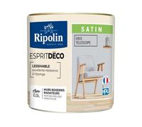 RIPOLIN Peinture murale Esprit déco multi-supports - 0 5 L - Gris Télescope