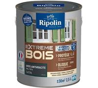 RIPOLIN PROTECTION EXTREME BOIS GRIS ANTHRACITE RAL70 Satin 2,5 L