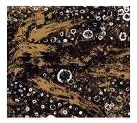 RISE AND FALL "OUR CIRCLE IS VICIOUS" CD NEW