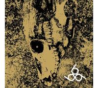Rise and Fall - Our Circle is Vicious [Import]
