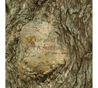 Rise & Fall of a Decadenc - You Or Sidney [Import]