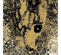 Rise & Fall - Our Circle is Vicious