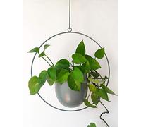 RISEON Pot de Fleurs bohème en métal Vert - Pot de Fleurs Moderne à Suspendre au Mur et au Plafond - Pot de Fleurs du Milieu du siècle - Pot de Fleurs Minimaliste pour intérieur et extérieur